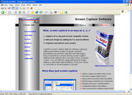 Easy Screenshot screenshot